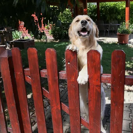 Molnár Apartman Sárvár