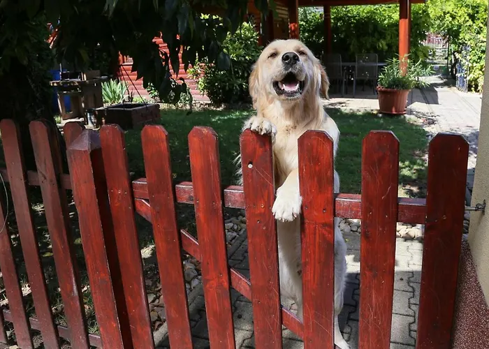 Molnar 公寓 Sárvár