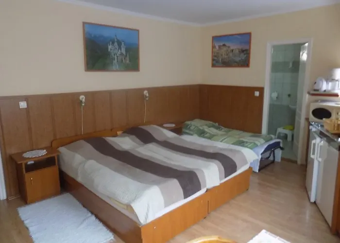 公寓 Molnar Sárvár